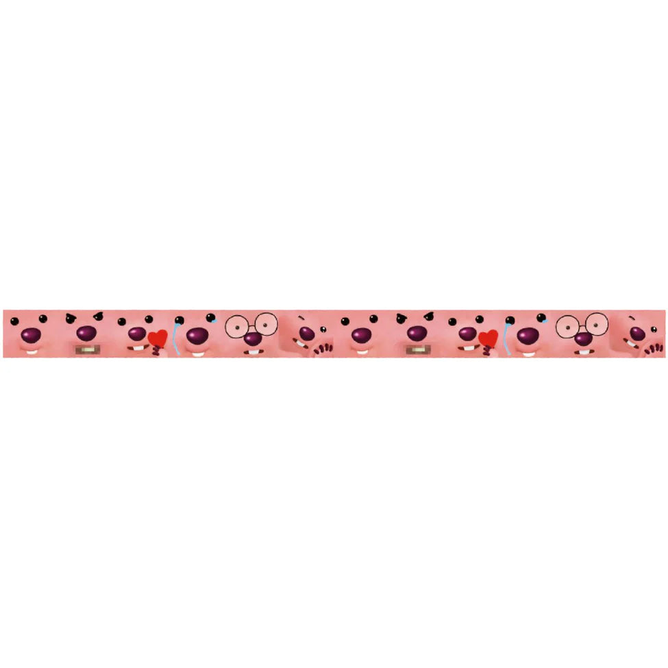 ZANMANG LOOPY Masking Tape Set