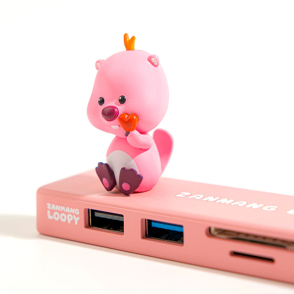 ZANMANG LOOPY Royche 5in1 Multi USB Hub